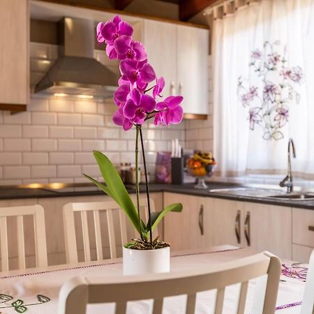 Casa Quintana - Apartamento Carla ティハラフェ エクステリア 写真