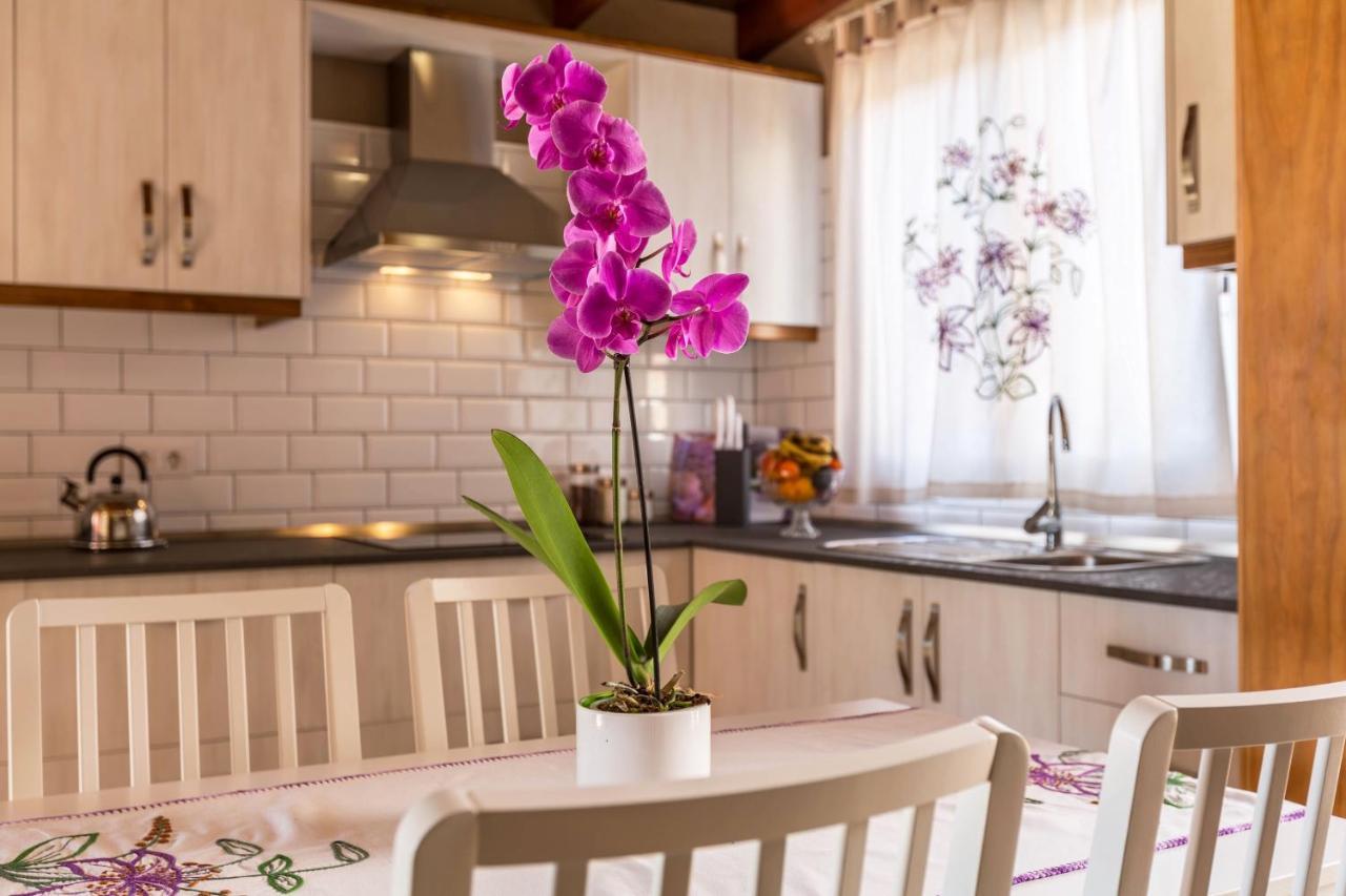 Casa Quintana - Apartamento Carla ティハラフェ エクステリア 写真